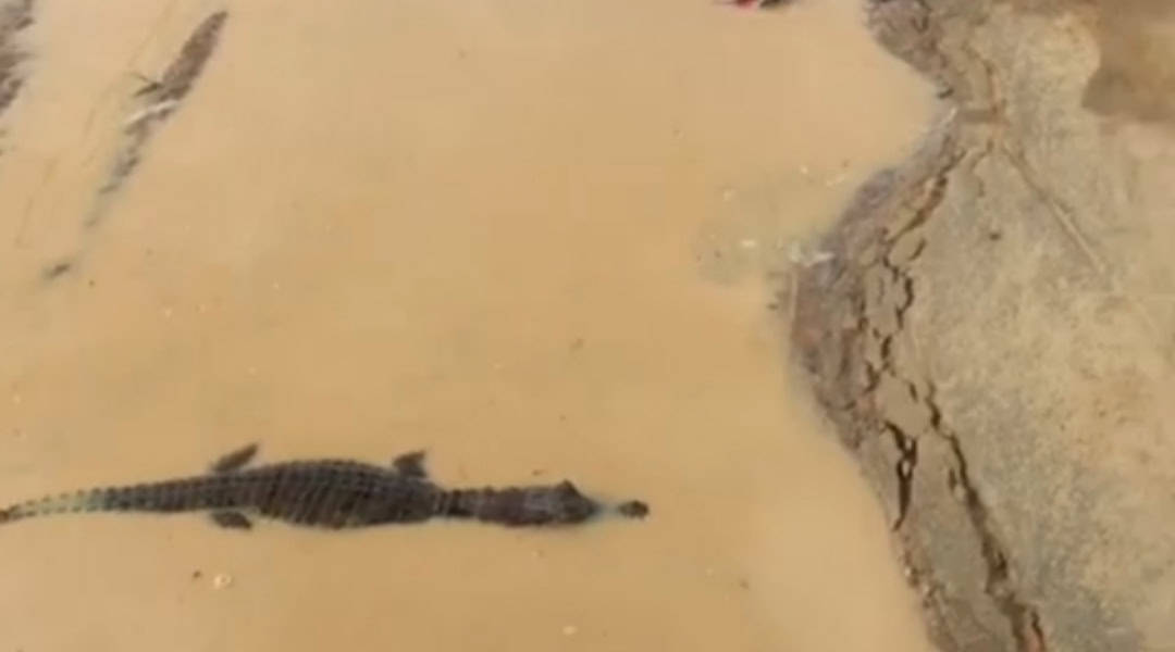 5d16b7a3-d5ac-44b8-be75-8f296d6946be 5d16b7a3-d5ac-44b8-be75-8f296d6946be