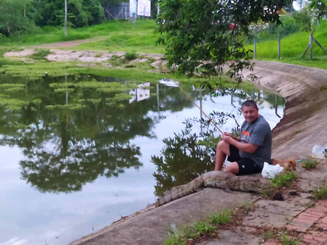 WhatsApp-Image-2021-01-03-at-18.19.34 WhatsApp-Image-2021-01-03-at-18.19.34