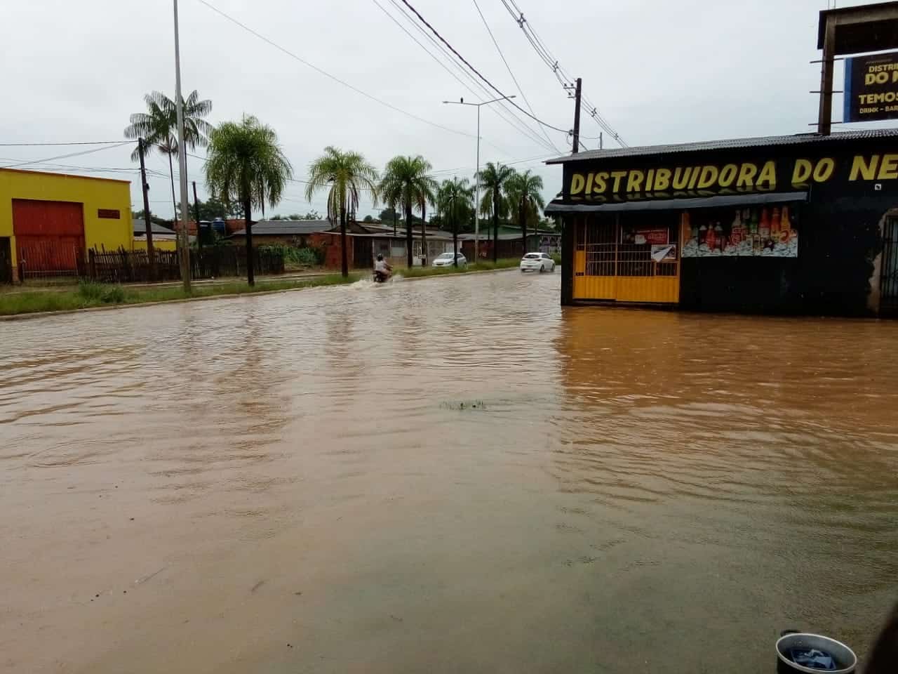 WhatsApp Image 2021-01-14 at 11.45.09 WhatsApp Image 2021-01-14 at 11.45.09