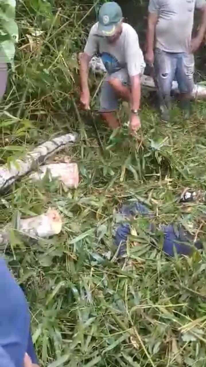 WhatsApp Image 2021-01-14 at 21.48.18 WhatsApp Image 2021-01-14 at 21.48.18