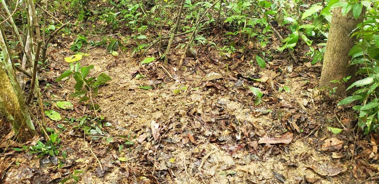 WhatsApp Image 2021-01-31 at 13-compressed WhatsApp Image 2021-01-31 at 13-compressed