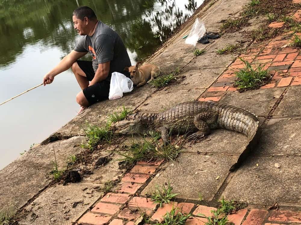 whatsapp-image-2021-01-04-at-10.50.45 whatsapp-image-2021-01-04-at-10.50.45