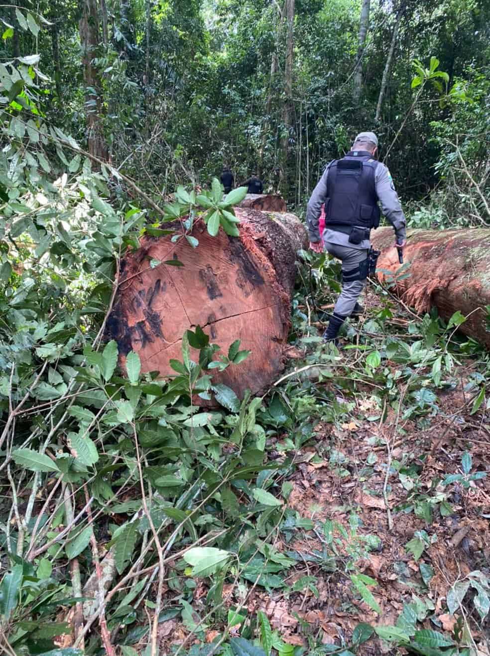 whatsapp-image-2021-01-31-at-15.00.58