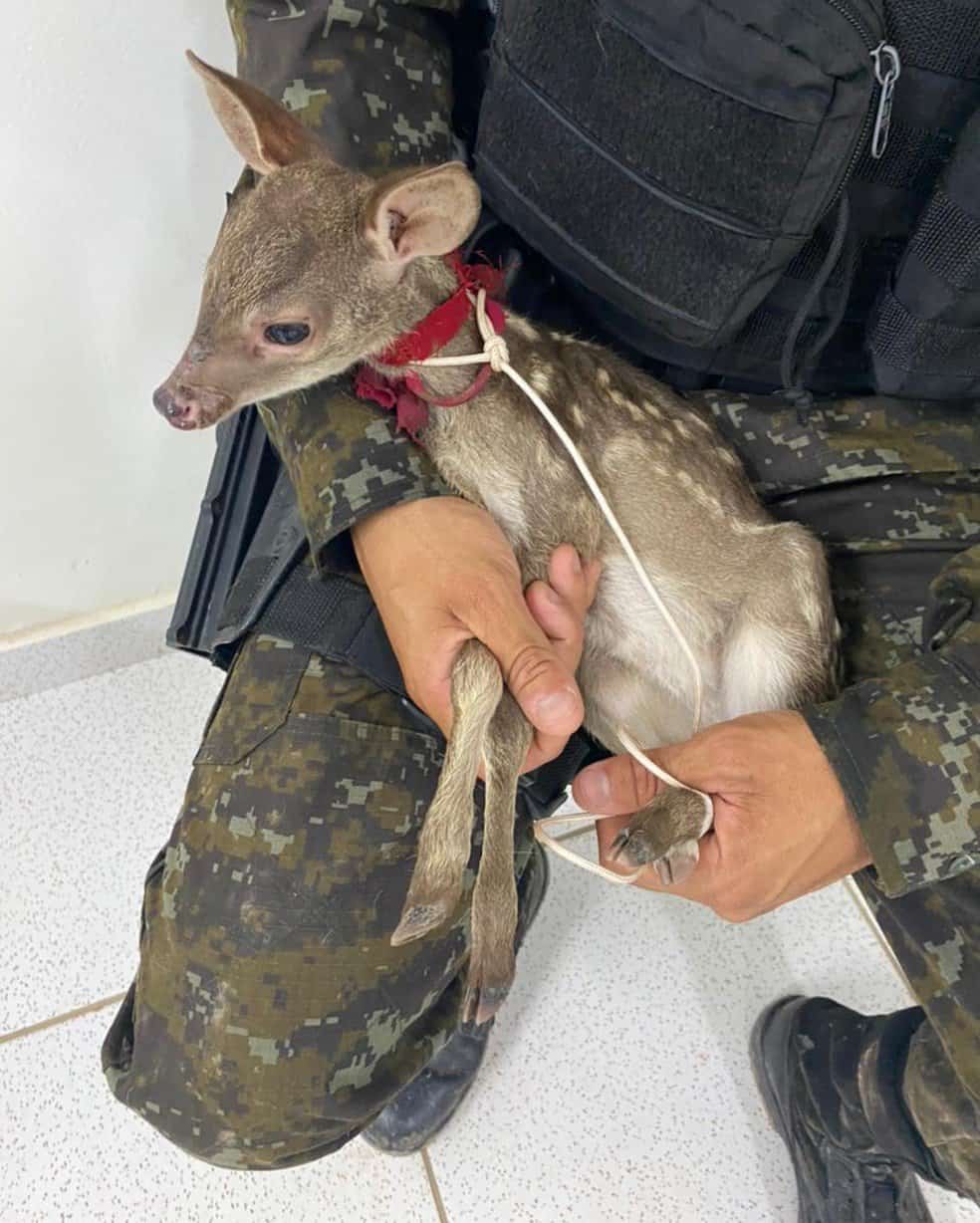 whatsapp-image-2021-01-31-at-15.02.19