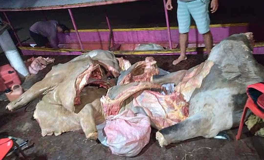 73f83913-9731-4799-977a-6b576ebc59f0 73f83913-9731-4799-977a-6b576ebc59f0