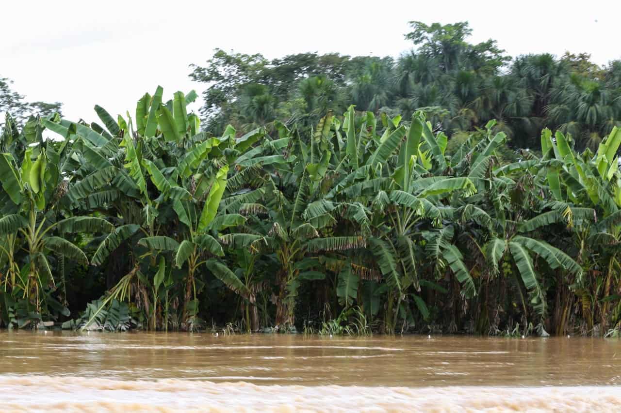 8cab9976-3173-4ab2-813e-ab8e697287fd 8cab9976-3173-4ab2-813e-ab8e697287fd