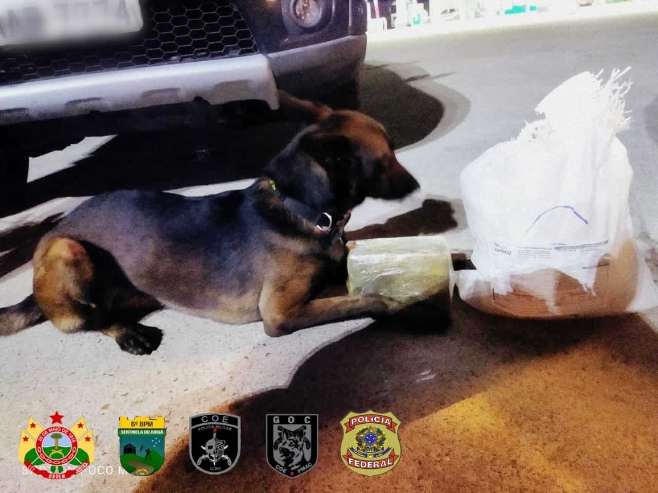 IMG-20210226-WA0010 IMG-20210226-WA0010