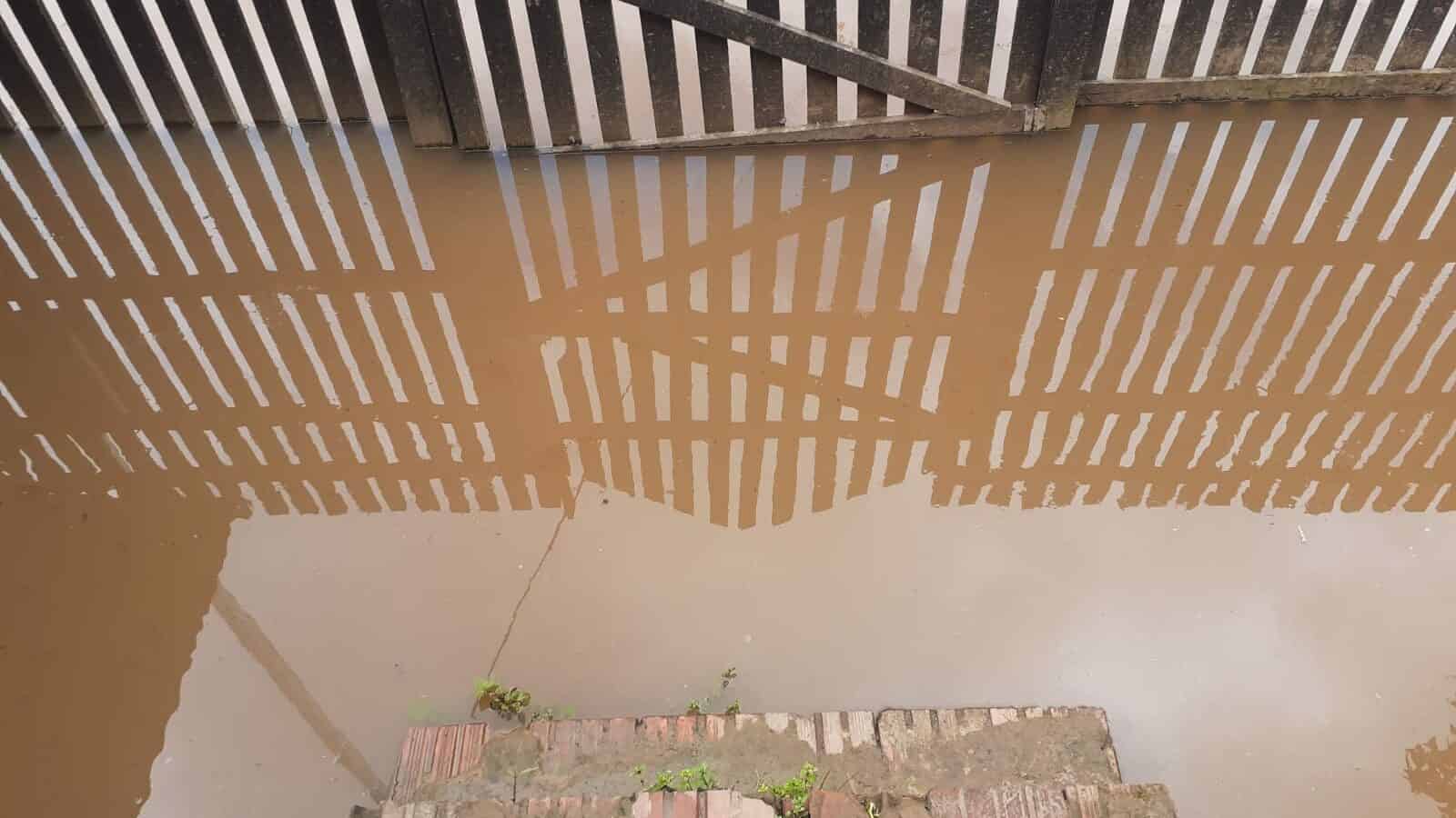 WhatsApp Image 2021-02-15 at 12.13.32 WhatsApp Image 2021-02-15 at 12.13.32