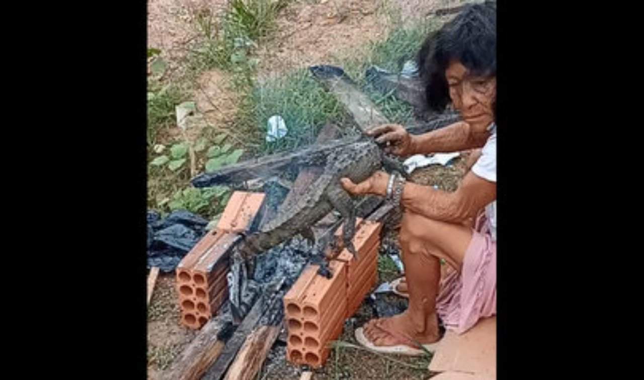 WhatsApp Image 2021-02-22 at 20.12.30 WhatsApp Image 2021-02-22 at 20.12.30