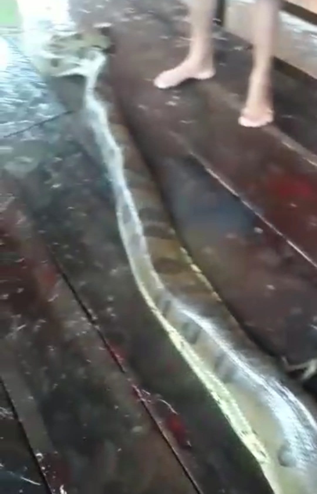 IMG_20210309_121616 IMG_20210309_121616