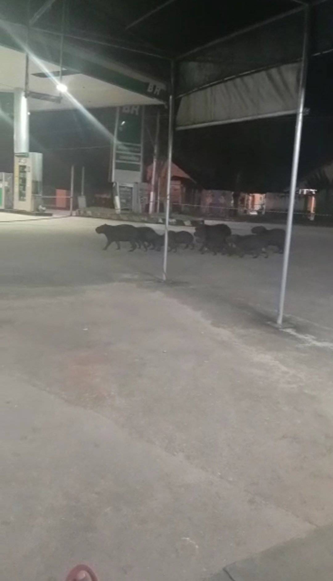 IMG_20210315_082802 IMG_20210315_082802