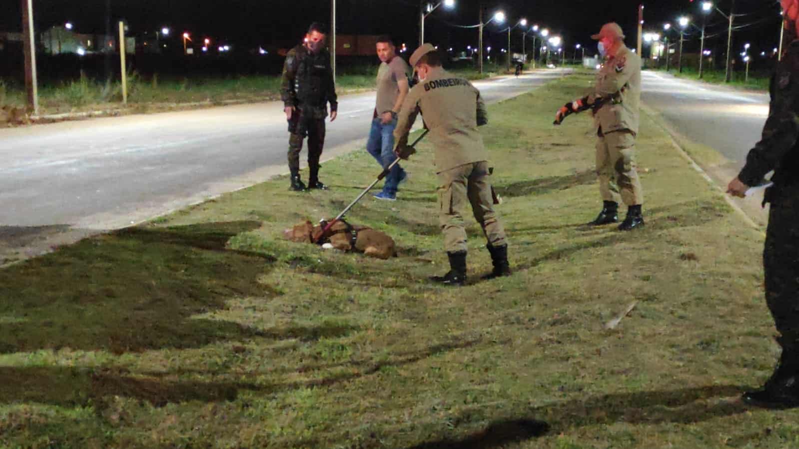 WhatsApp Image 2021-03-02 at 19.16.54 WhatsApp Image 2021-03-02 at 19.16.54