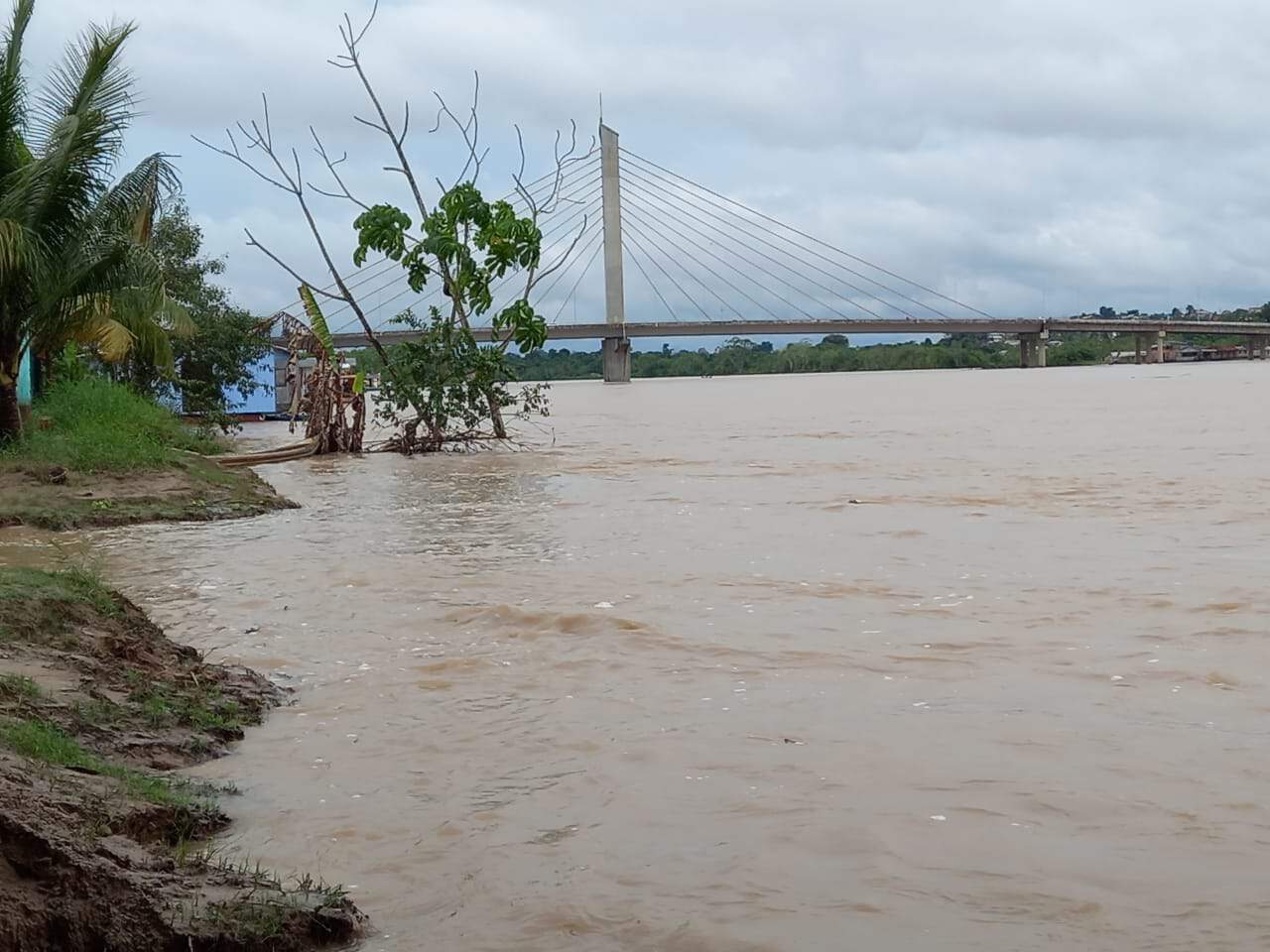 WhatsApp Image 2021-03-16 at 14.39.40