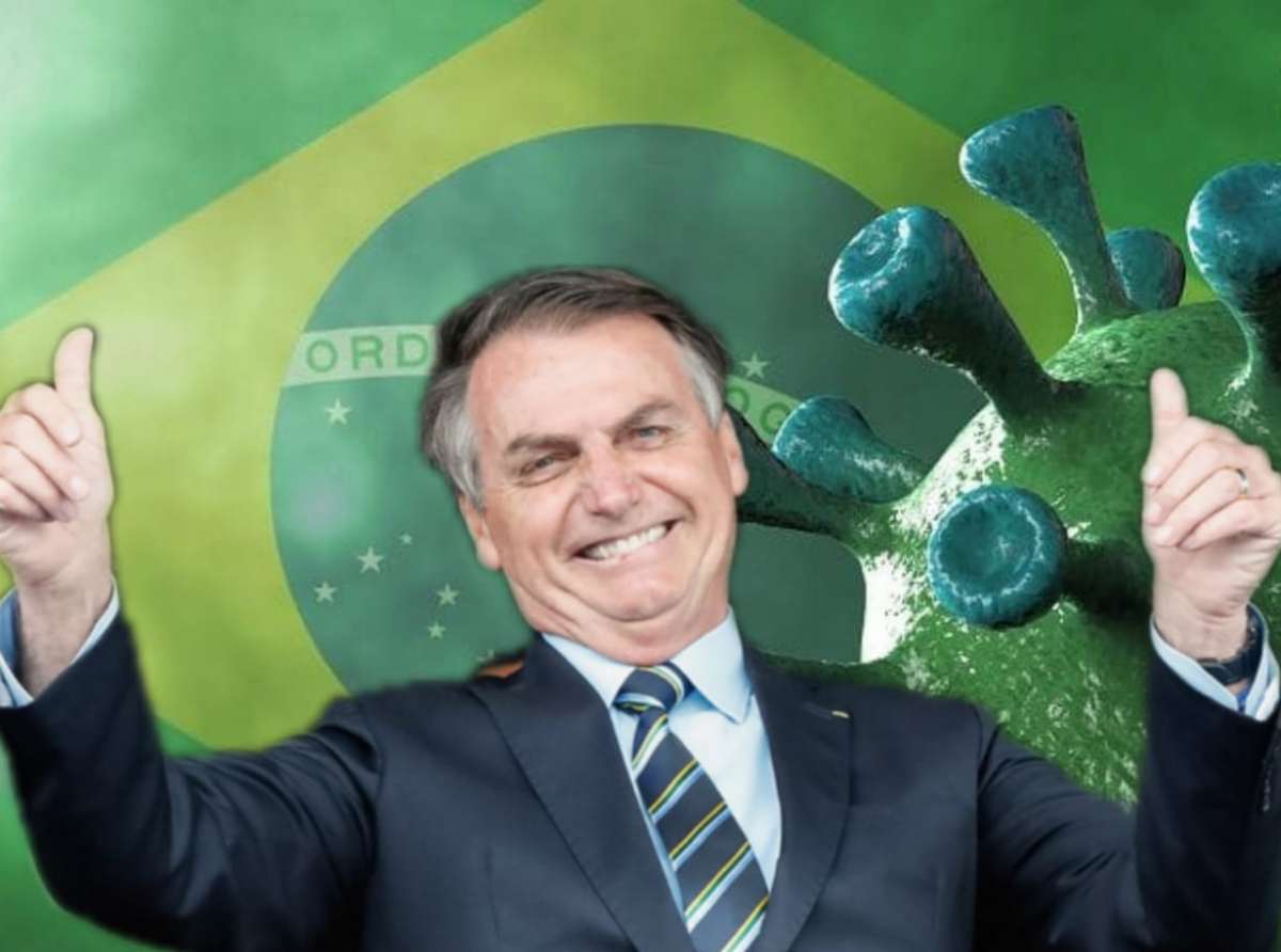 bozocoroc_large bozocoroc_large