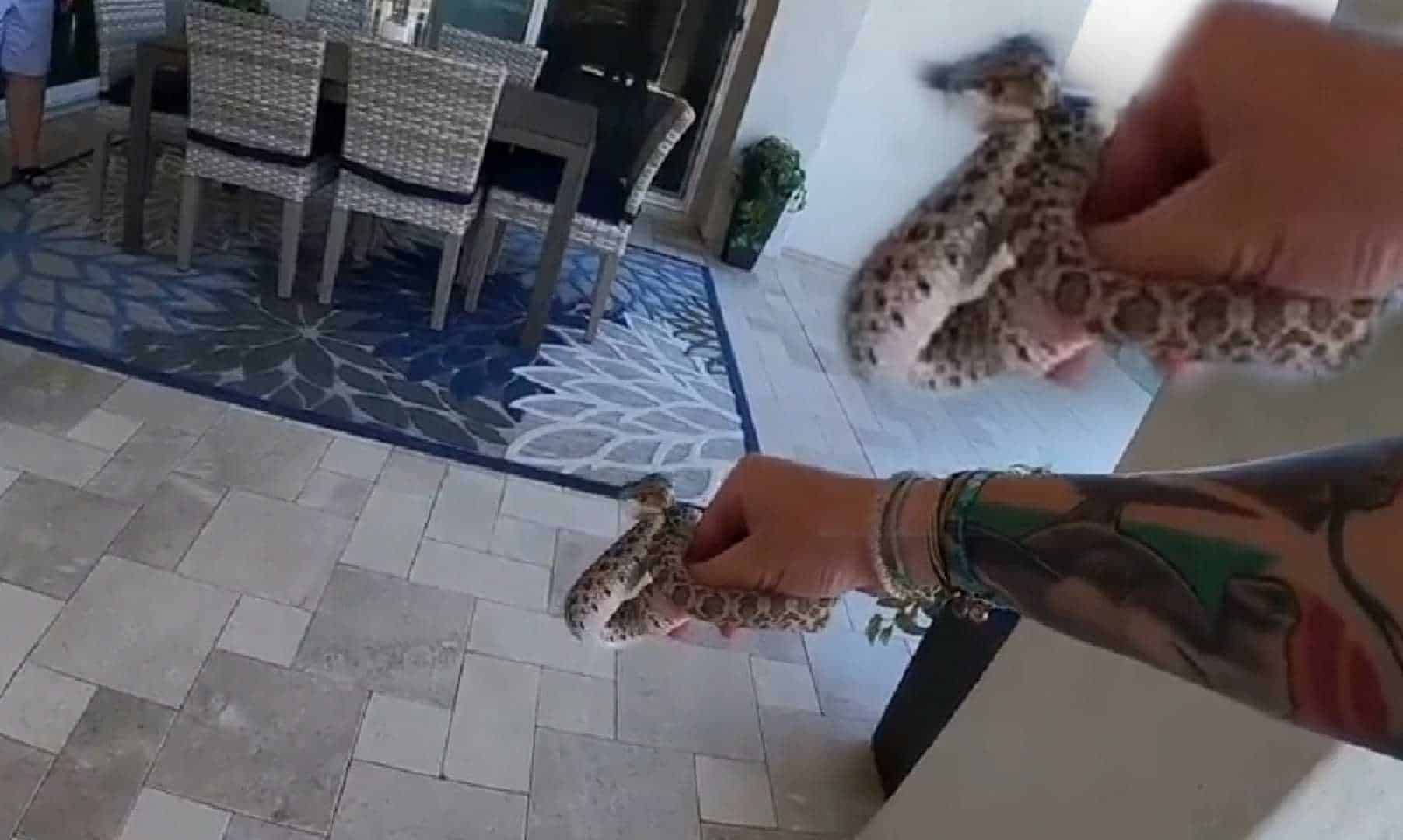 PicsArt_04-13-06-compressed PicsArt_04-13-06-compressed