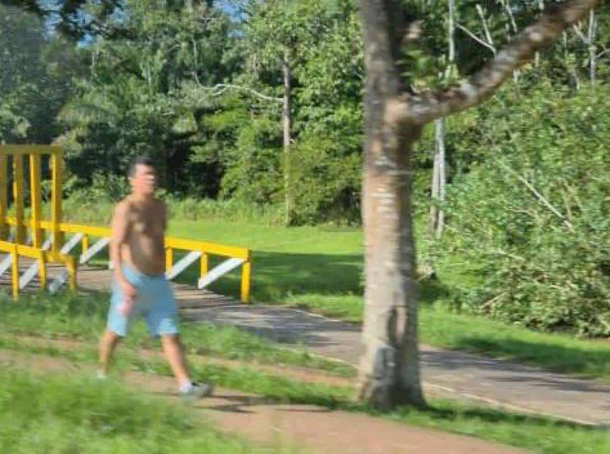 mauexemolo_large mauexemolo_large