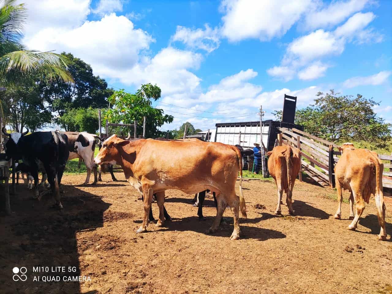 571ca4c9-4bc5-4ced-8953-69bc34e46b7e 571ca4c9-4bc5-4ced-8953-69bc34e46b7e