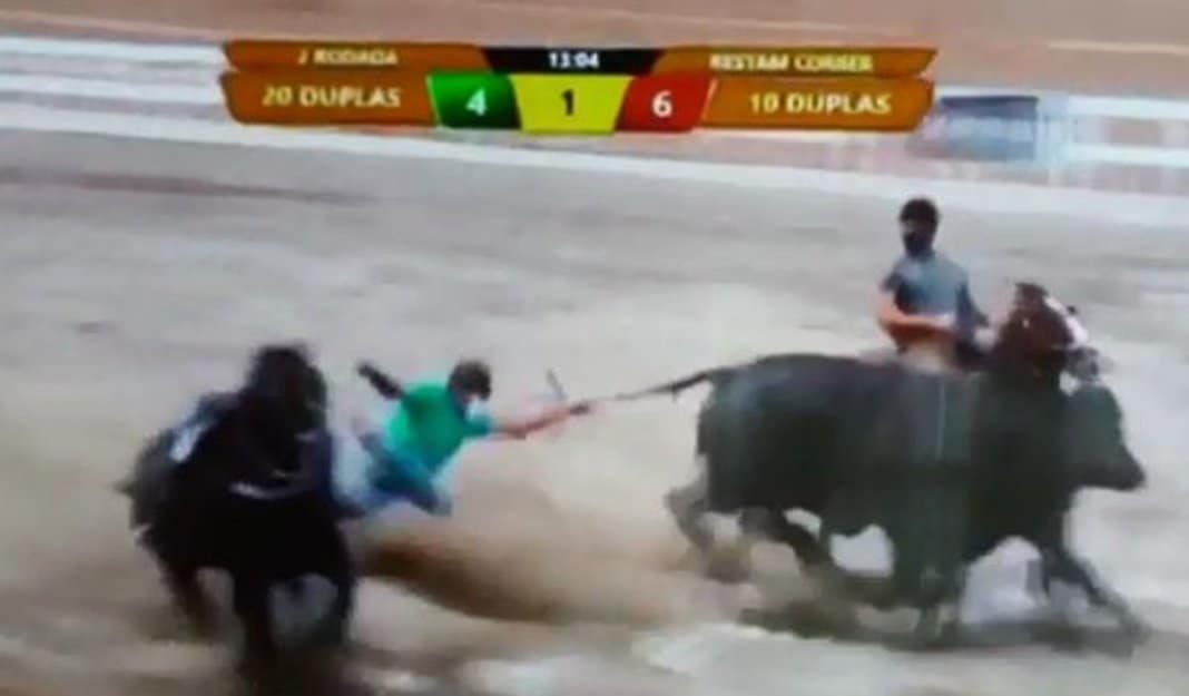 rsw-600h-400i-truecg-trueft-cover rsw-600h-400i-truecg-trueft-cover