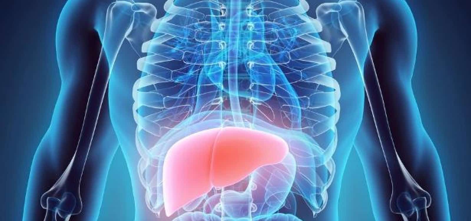 2919F052-C038-46BA-B7ED-CB5E7F554BFD