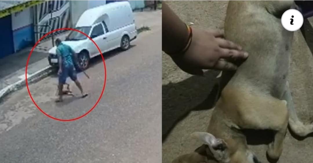 PicsArt_10-01-06.39.54 PicsArt_10-01-06.39.54