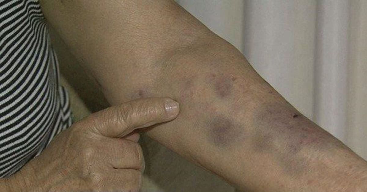 cats(7564) cats(7564)