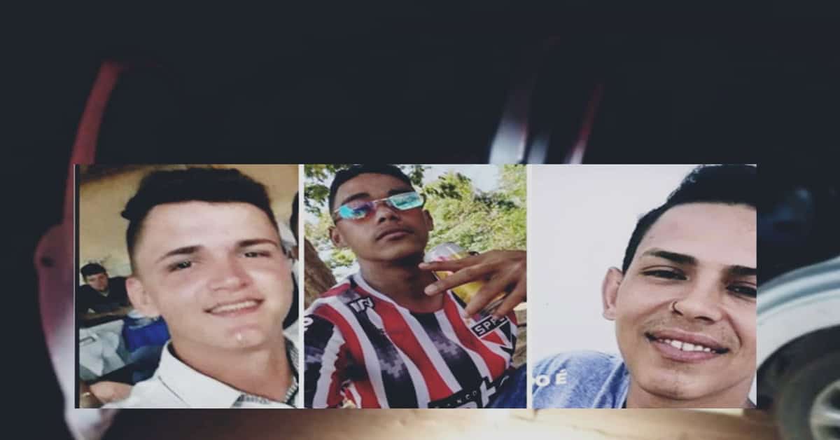 cats(7672) cats(7672)