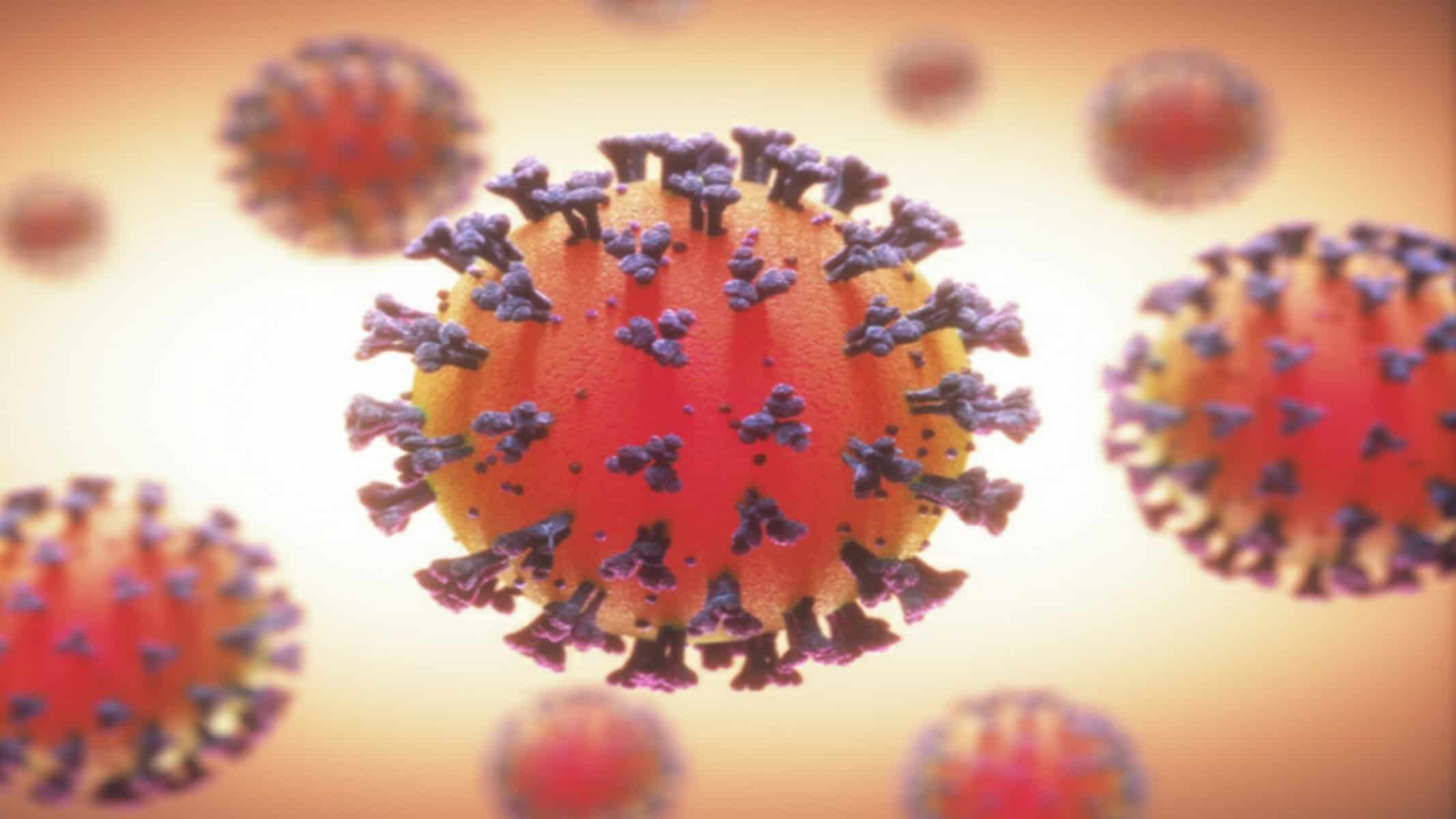 PicsArt_12-05-06.01.51 PicsArt_12-05-06.01.51