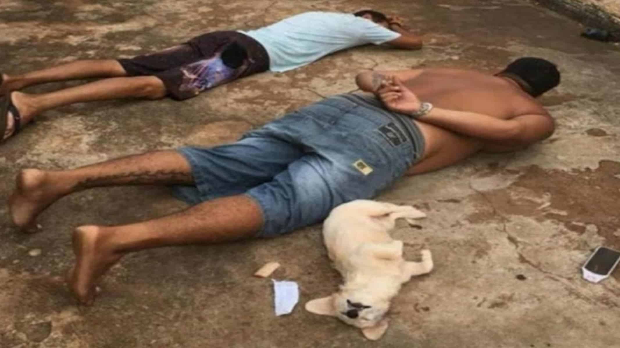 PicsArt_12-05-08.32.36