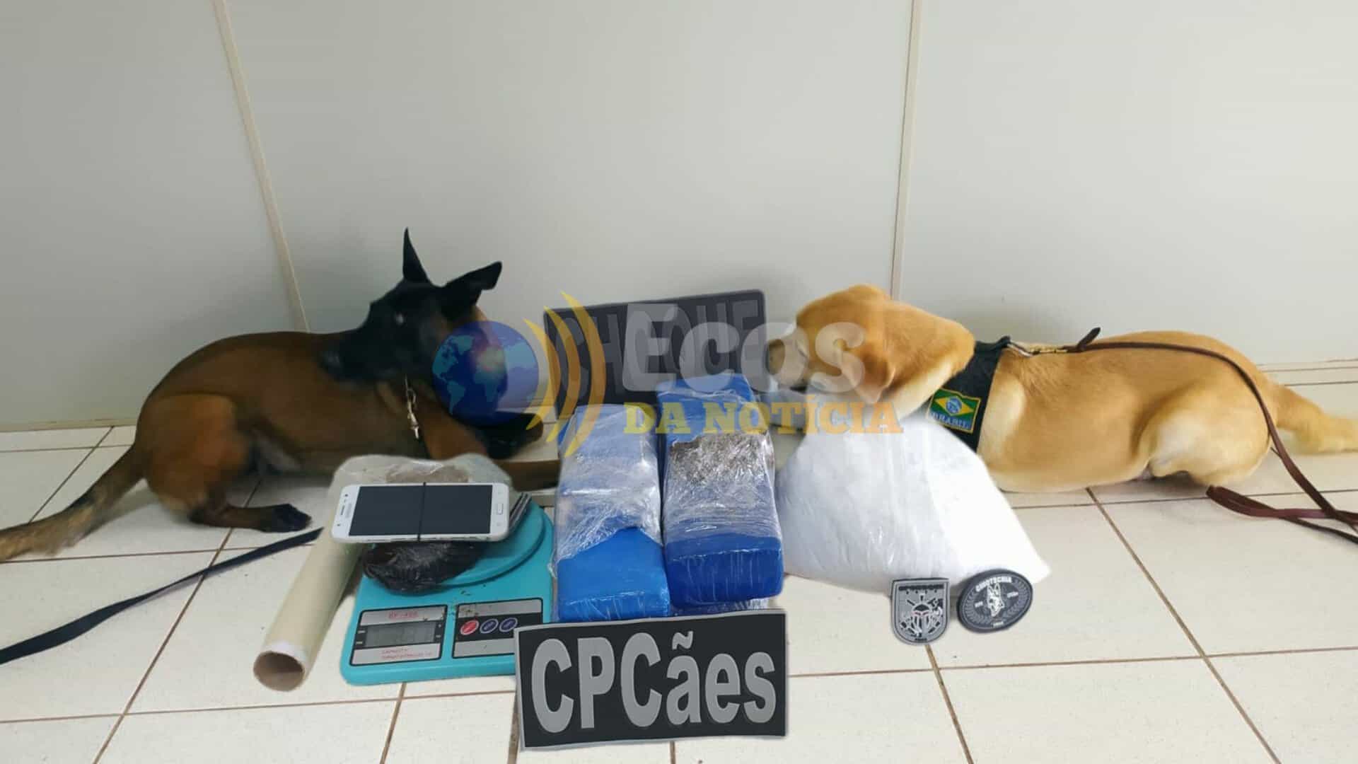 PicsArt_12-14-03.40.12