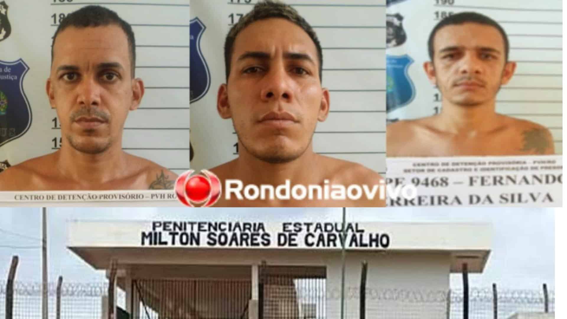 PicsArt_12-16-02.44.19 PicsArt_12-16-02.44.19