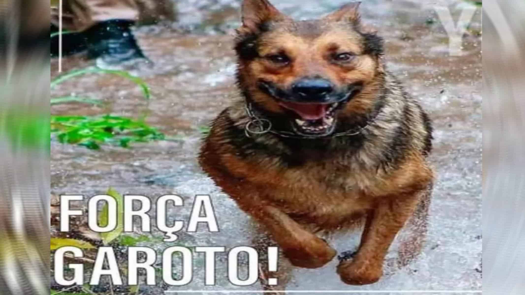 PicsArt_12-17-10.51.56