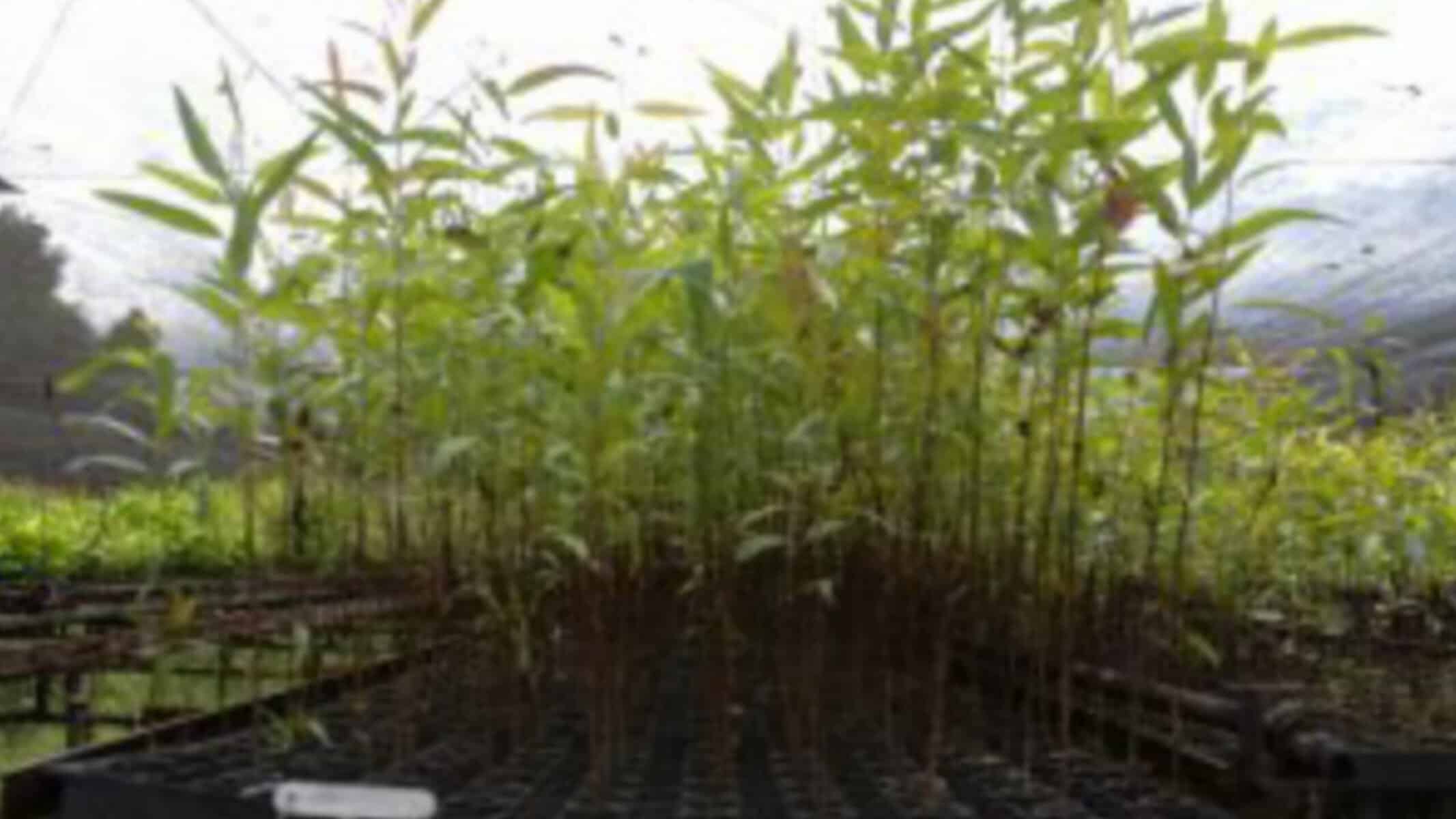 PicsArt_12-24-01.46.38