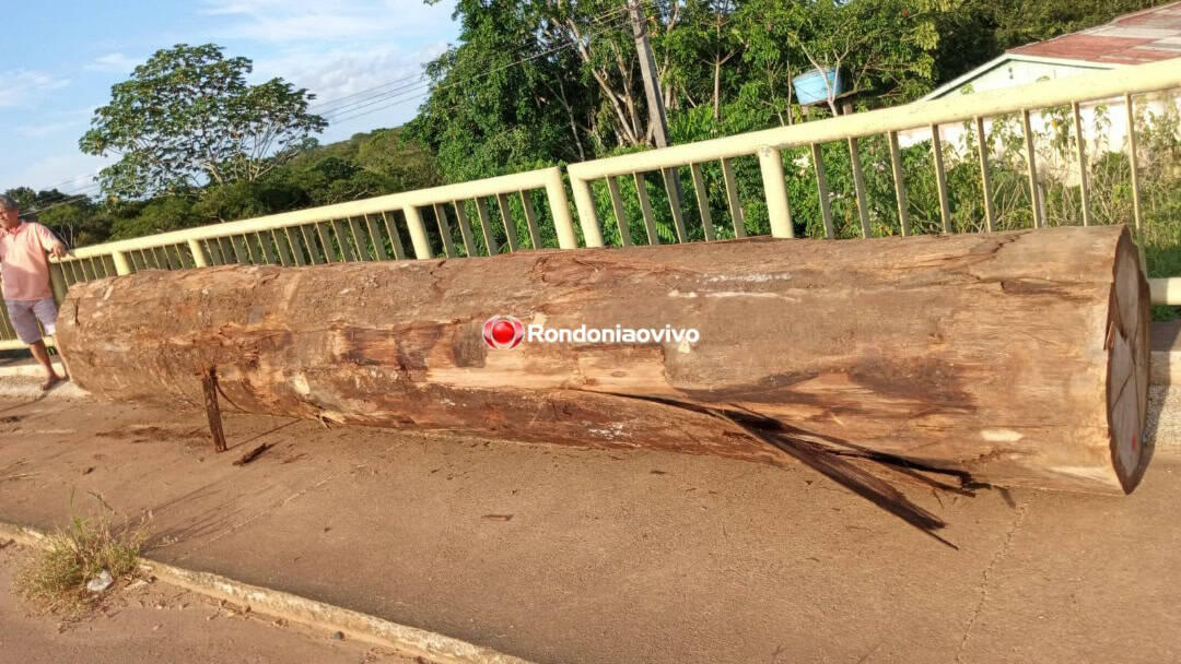 PicsArt_12-28-05.50.52 PicsArt_12-28-05.50.52