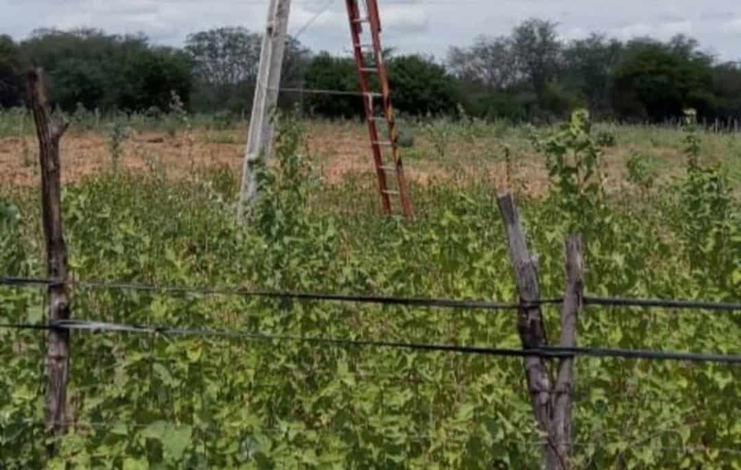 Screenshot_20211219-233045_Gallery_1 Screenshot_20211219-233045_Gallery_1