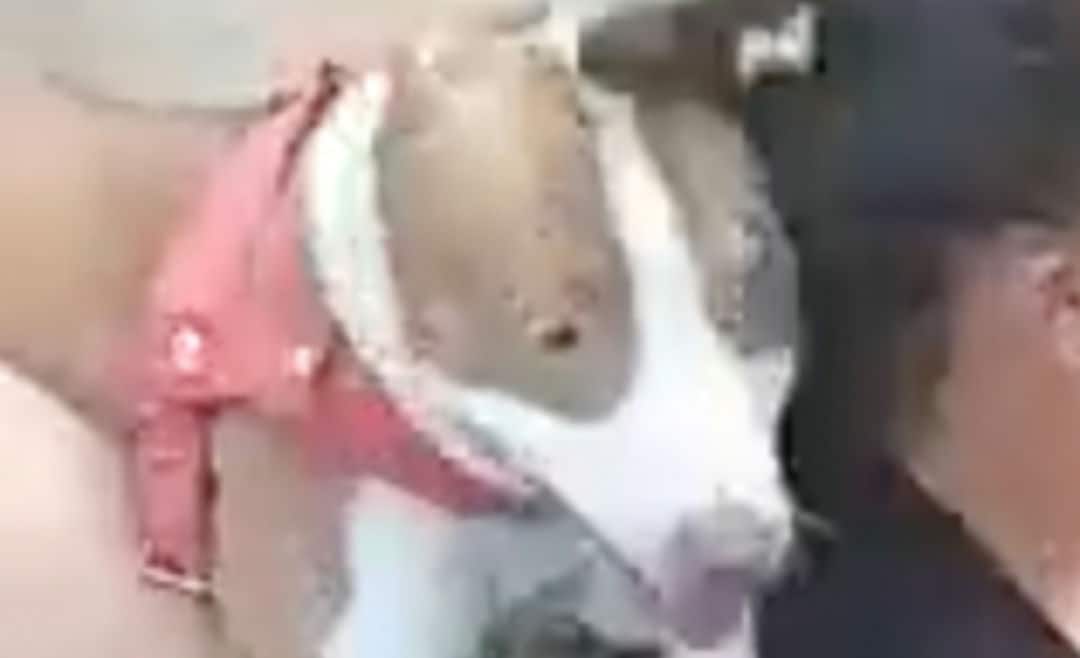 Screenshot_20211231-121433_Gallery_1