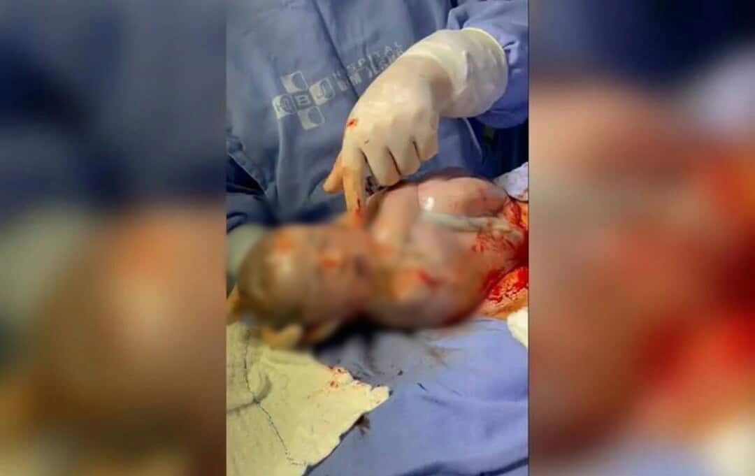 aviary-image-1639158354369