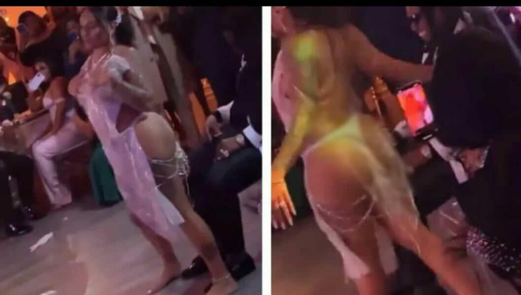 aviary-image-1640097298947