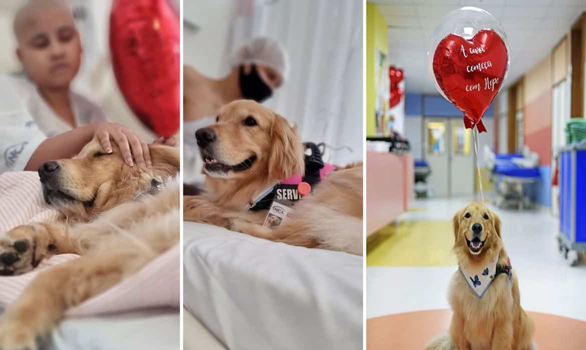 Terapia Assistida Por Animais no Inca Foto: Divulgação Inca