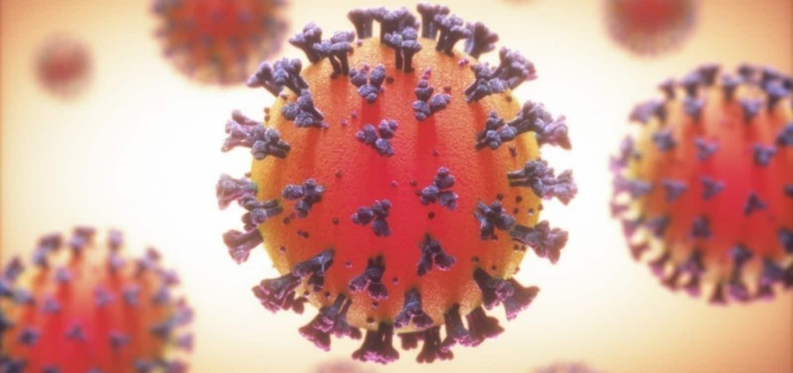 117287,bahia-registra-171-novos-casos-e-mais-um-obito-por-covid-19-em-24h-3 117287,bahia-registra-171-novos-casos-e-mais-um-obito-por-covid-19-em-24h-3