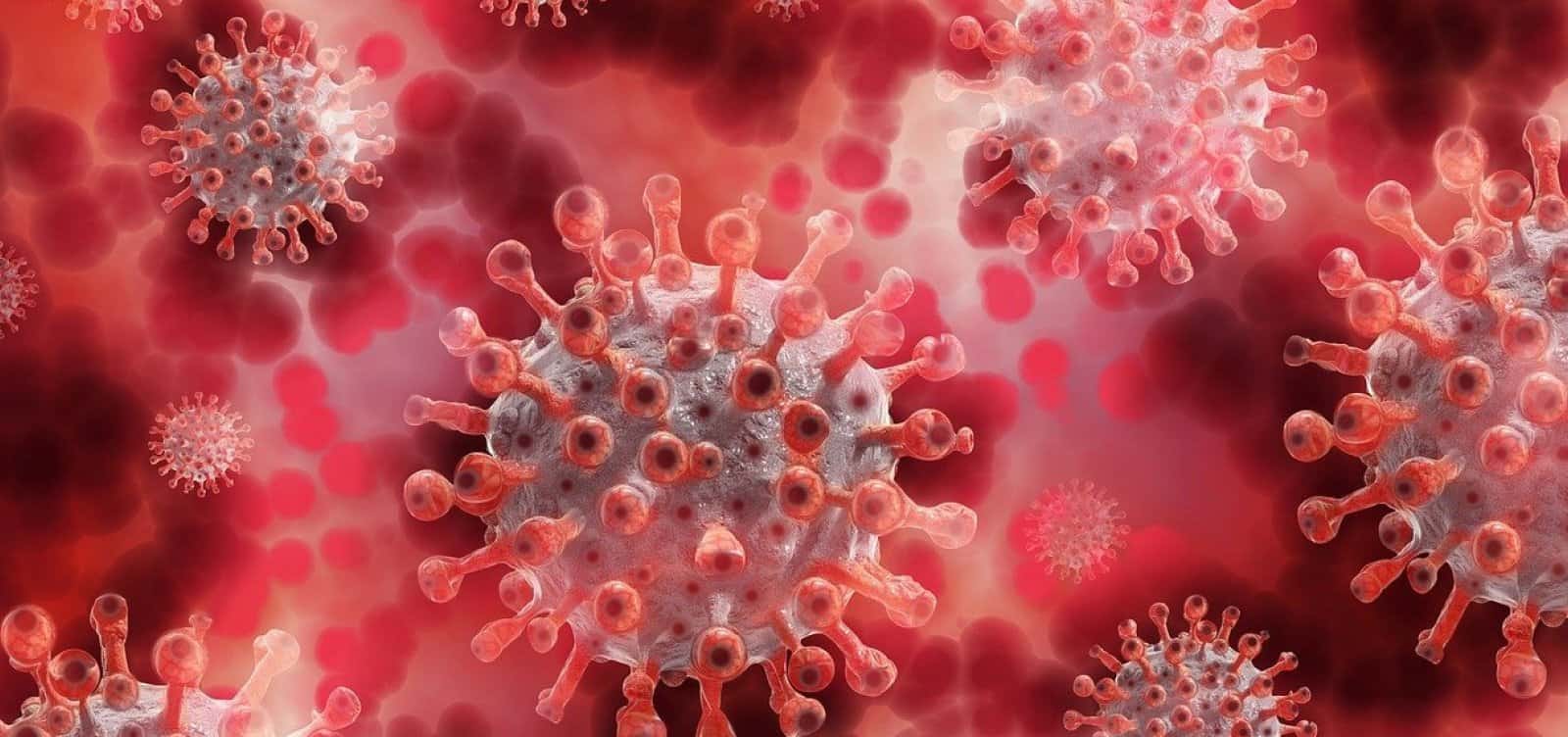 117531,bahia-registra-1344-novos-casos-de-covid-e-mais-20-mortes-pela-doenca-em-24h-3