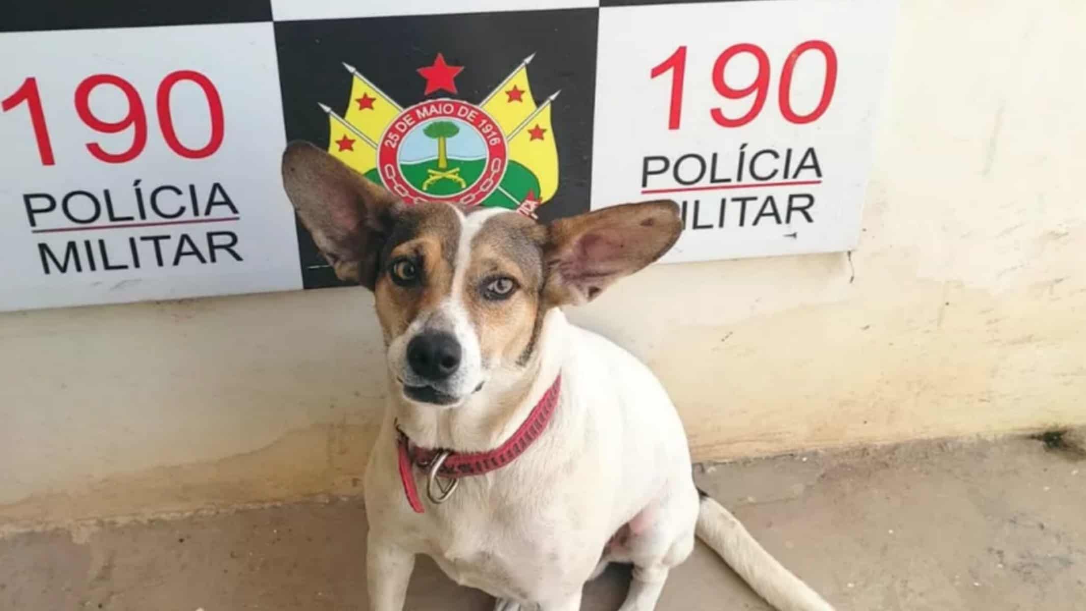 Picsart_22-01-04_19-22-21-072