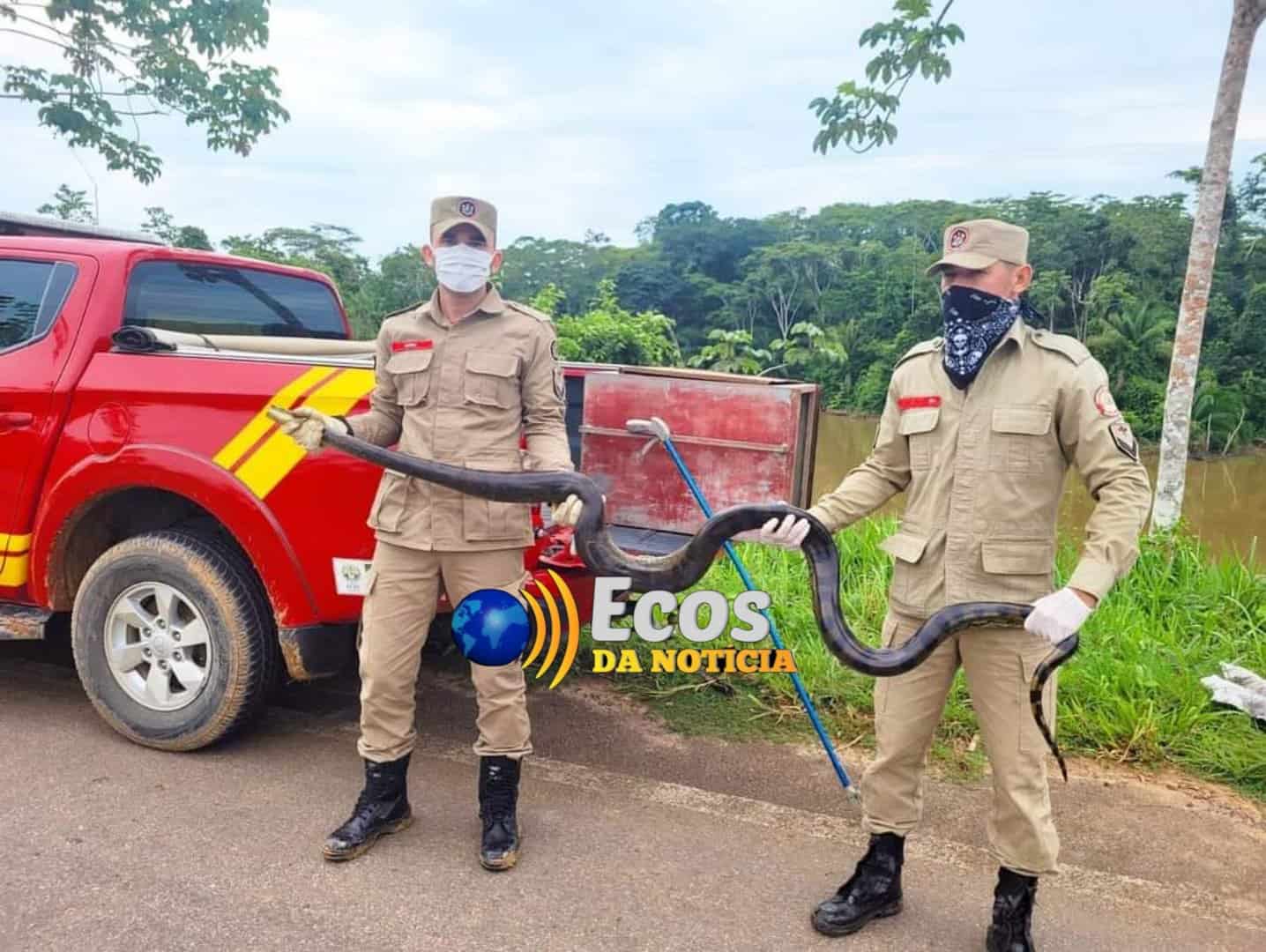 Picsart_22-01-06_22-13-00-044