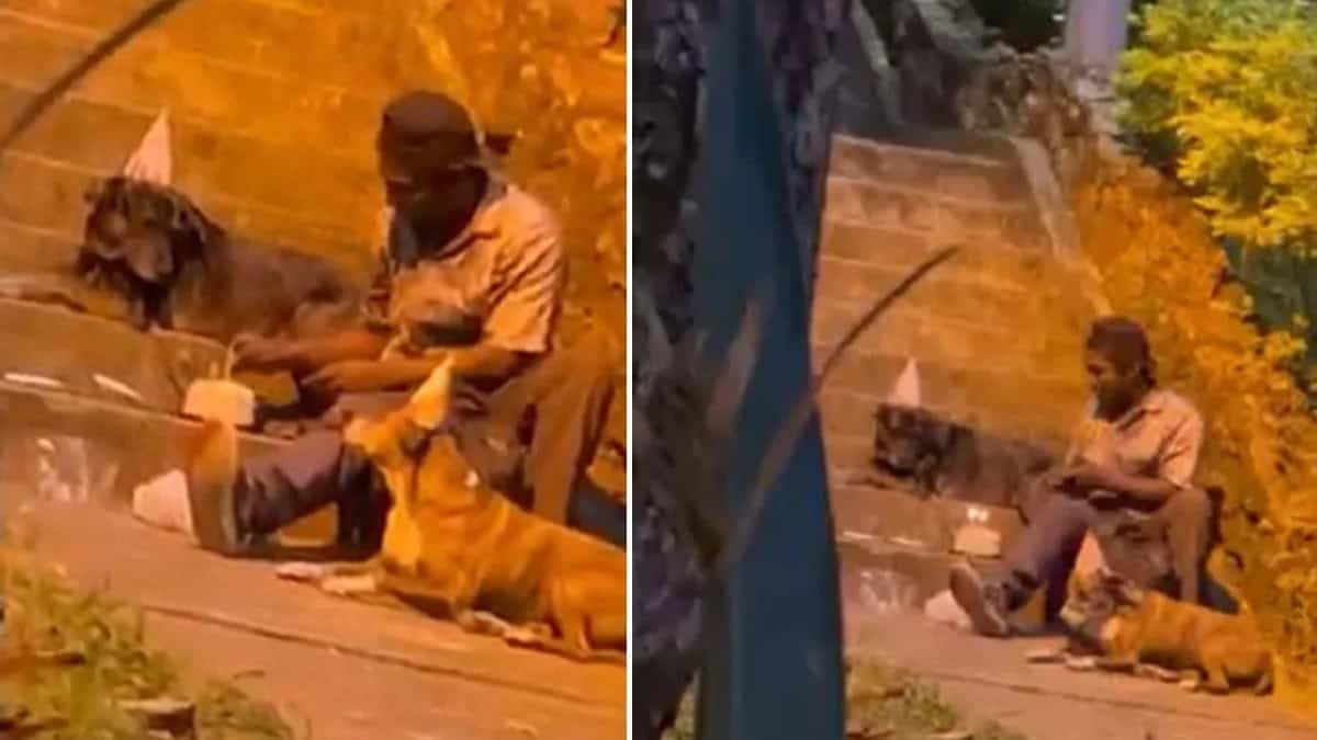 Picsart_22-01-08_20-46-02-874