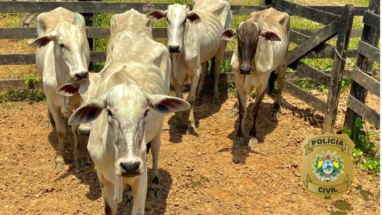 Picsart_22-01-09_10-06-28-526 Picsart_22-01-09_10-06-28-526