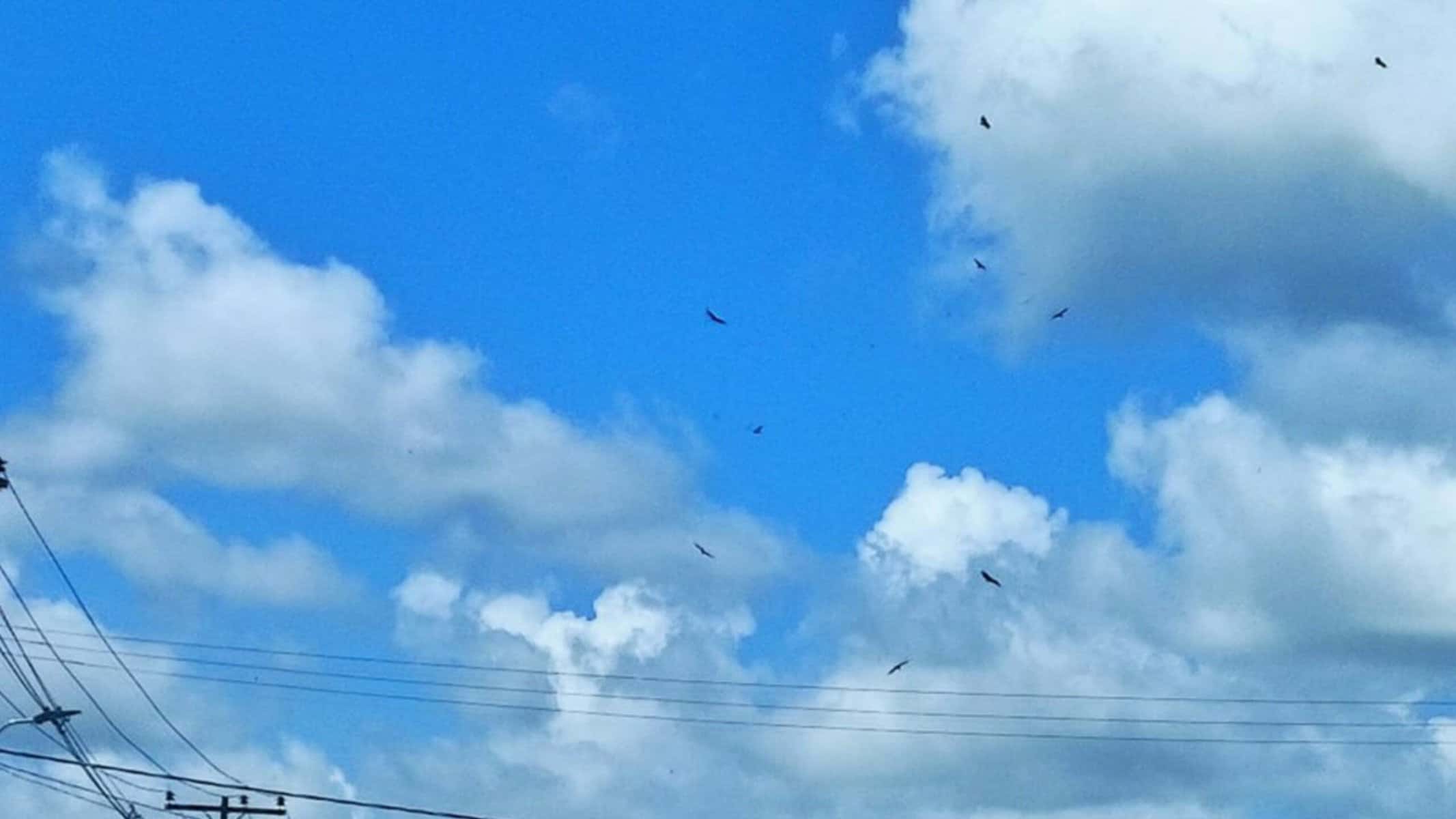 Picsart_22-01-09_12-21-48-790