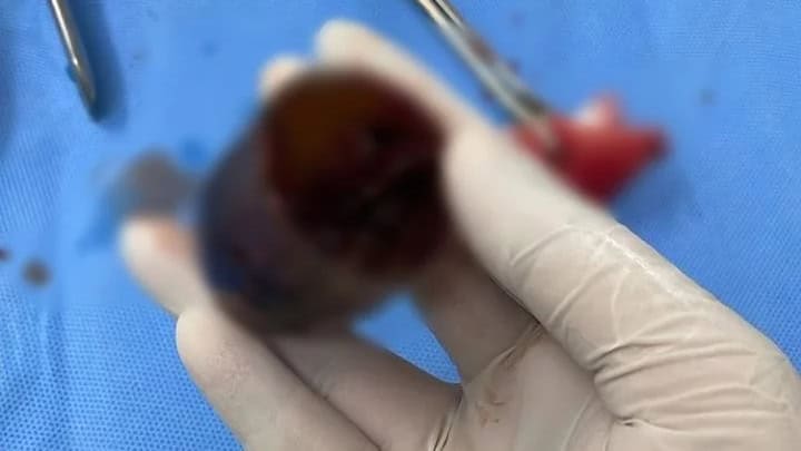 Picsart_22-01-17_22-12-34-463