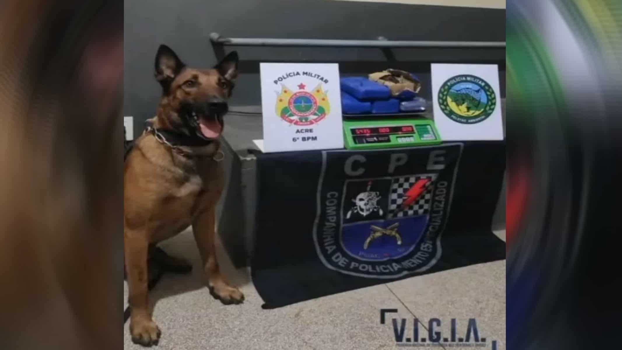 Picsart_22-01-20_13-52-57-482