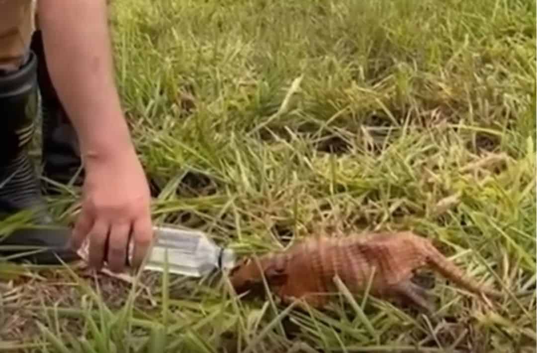 Screenshot_20220101-155837_Instagram_1