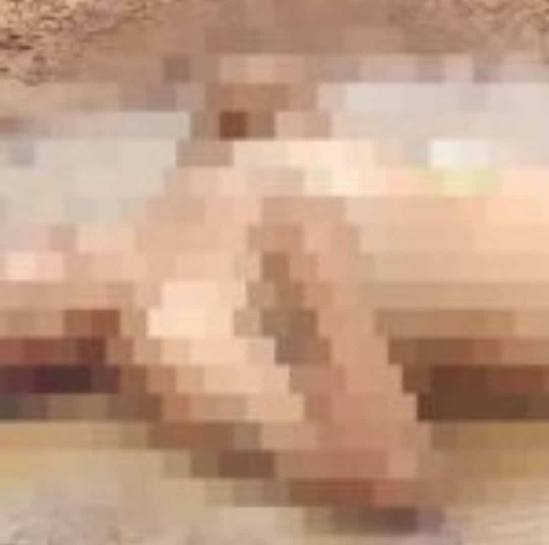 Screenshot_20220112-194305_Gallery_1 Screenshot_20220112-194305_Gallery_1