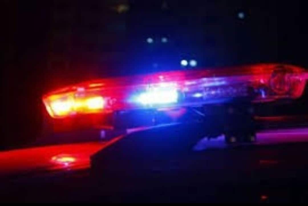 Screenshot_20220126-152339_Gallery_1 Screenshot_20220126-152339_Gallery_1